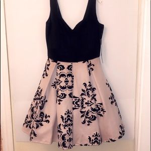 CHRISTINE FLORAL BURNOUT DRESS